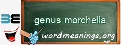 WordMeaning blackboard for genus morchella